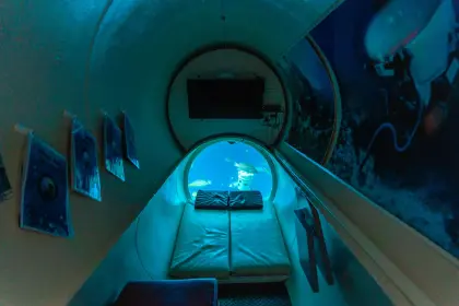 /book-tours/Dolphin-en-Sea-Aquarium/Ocean-Lens3.webp